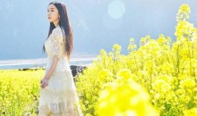 高郵湖湖上花海、鎮國寺、盂城驛、平津古堰、西堤純玩休閑二日游